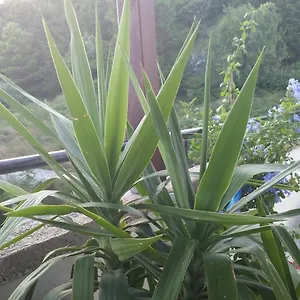 Appartement Vinko, Split